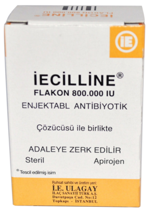 IECILLINE 800000 IU 1 FLAKON Doktor Randevu Takvimi Hasta Takip