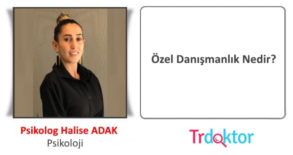 Özel danışmanlık Nedir?